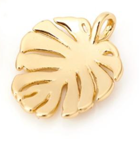 Monstera Blatt