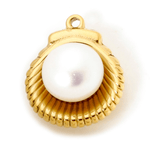 Muschel mit großer Perle