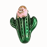 Grüner Kaktus - Loony You