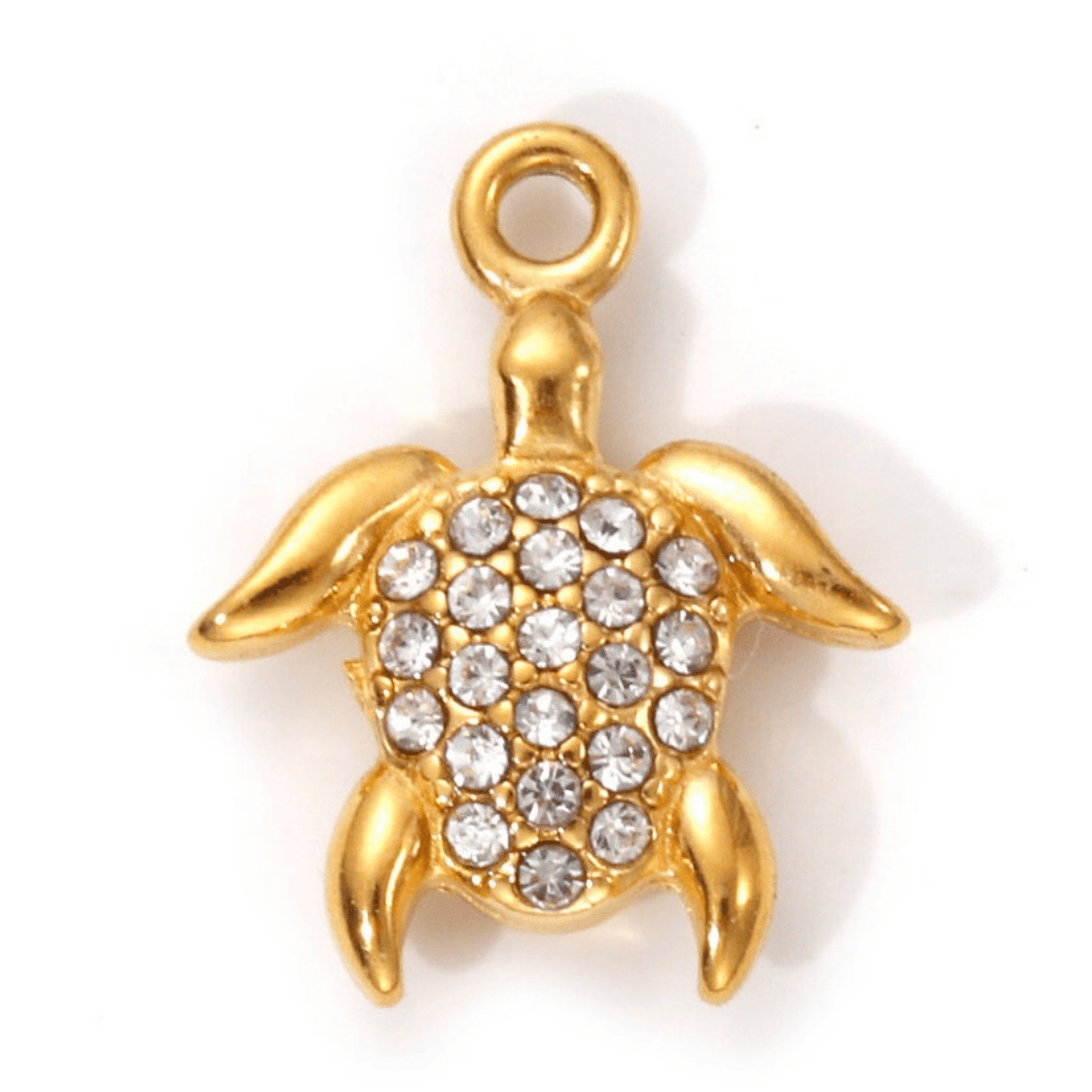 Schildkröte - Loony You